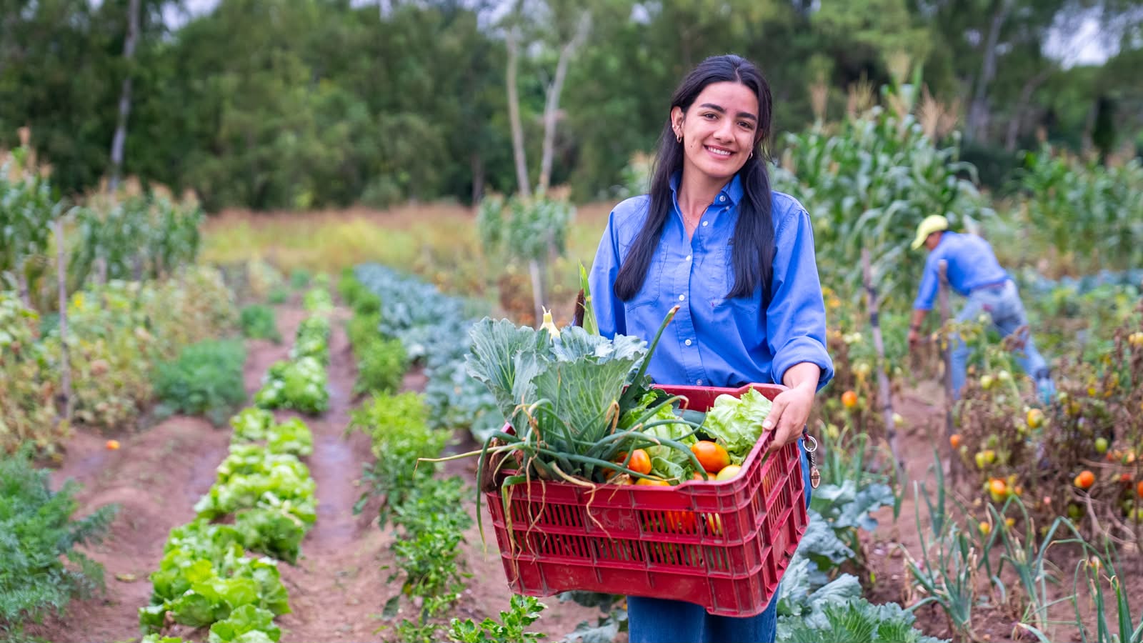 Cambio climático y agricultura en Colombia: de la vulnerabilidad a la transformación Medellín,
